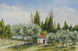n°147.  Cabanon à Barbentane - Tableaux  de  Provence 1