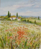 n°193.  Coquelicots. - Tableaux  de  Provence 1