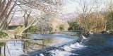 n°66.  La  Sorgue - Tableaux  de  Provence 1