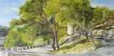 n°72.  Montée de Frigolet - Tableaux  de  Provence 1