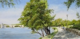 n°60.  Pont st. Bénèzet - Tableaux  de  Provence 1