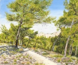 n°26.  Pins dans les Alpilles - Tableaux  de  Provence 1