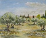 n°229.  Oliviers. - Tableaux  de  Provence 1