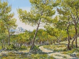 n°40.  Sentier dans les Alpilles - Tableaux  de  Provence 1