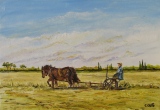 n°260. Coupe des foins. - Tableaux  de  Provence 1