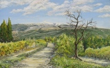 n°251.  Le mont ventoux. - Tableaux  de  Provence 1