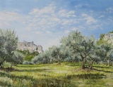 n°50.  Oliviers aux Baux de Provence - Tableaux  de  Provence 1