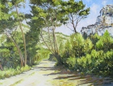 n° 325.     Chemin dans les alpilles - Tableaux  de  Provence 1