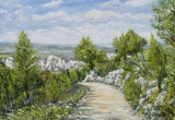 n°145.  Chemin dans les alpilles - Tableaux  de  Provence 2
