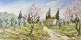 n°113.  Oliviers et Amandiers - Tableaux  de  Provence 2