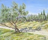 n°81.  Oliviers - Tableaux  de  Provence 2