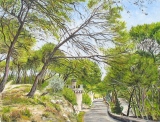 n°48.  Montée de St.Michel de Frigolet - Tableaux  de  Provence 2
