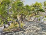 n°39.  Montée de St.Michel de Frigolet - Tableaux  de  Provence 2
