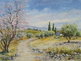 n°194.  Printemps en provence - Tableaux  de  Provence 2