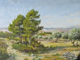 n°285. Pins et oliviers - Tableaux  de  Provence 2