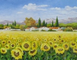 n° 386.  Tournesols - Tableaux  de  Provence 2