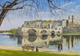 n°  351.  Pont st. Bénézet - Tableaux  de  Provence 2