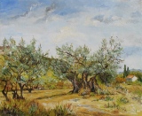 n°  18.  Vieux oliviers - Tableaux  de  Provence 2