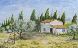 n° 329.  Les olivades. - Tableaux  de  Provence 2