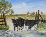 n°126.  La Manade - Tableaux de provence  3