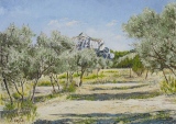 n°17.  Oliviers à st.Rémy de Provence - Tableaux de provence  3
