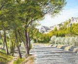 n°87.  En montant à st.Michel de Frigolet - Tableaux de provence  3
