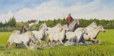 n°61.  Chevaux et Gardian - Tableaux de provence  3