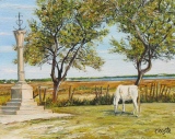 n°98.  Camargue - Tableaux de provence  3