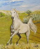 n°10.  Le cheval - Tableaux de provence  3