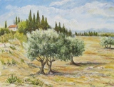 n°103.  Oliviers - Tableaux de provence  3
