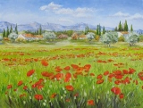 n°  383.  Coquelicots - Tableaux de provence  3